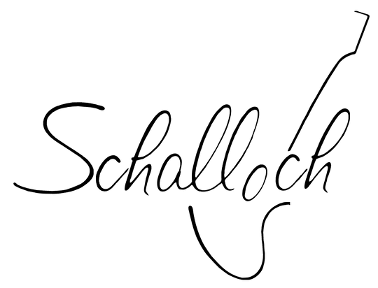 Schalloch Musikhandel GmbH in Hamburg Logo 10