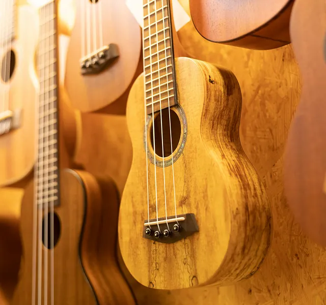Schalloch Musikhandel GmbH in Hamburg Teaser Ukulelen