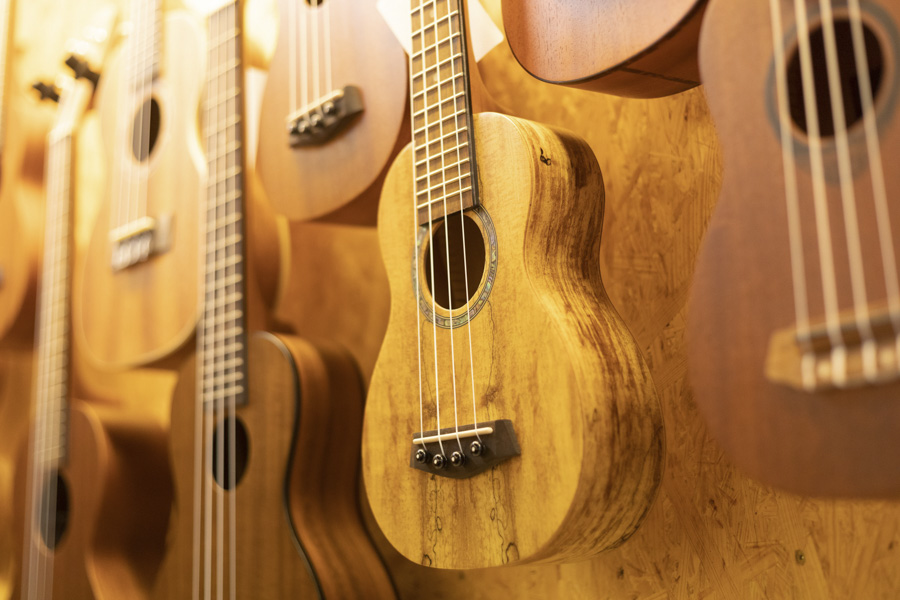 Schalloch Musikhandel GmbH in Hamburg Teaser Ukulelen