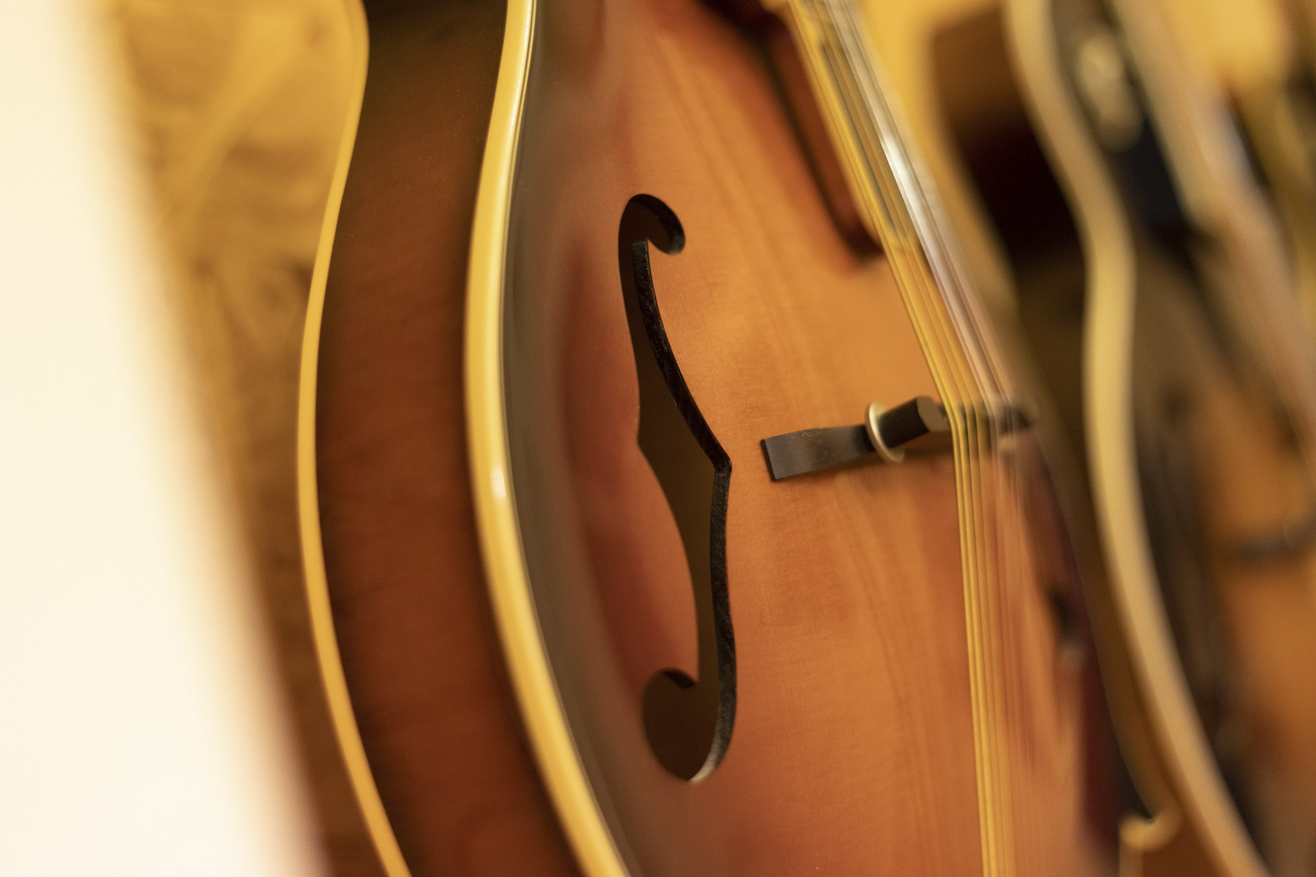 Schalloch Musikhandel GmbH in Hamburg Teaser Mandoline